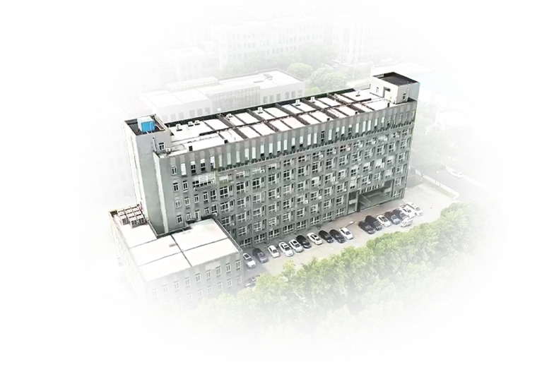 Company Profile